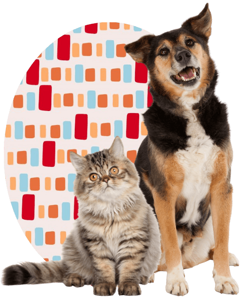 Metz Petz Veterinary Clinics