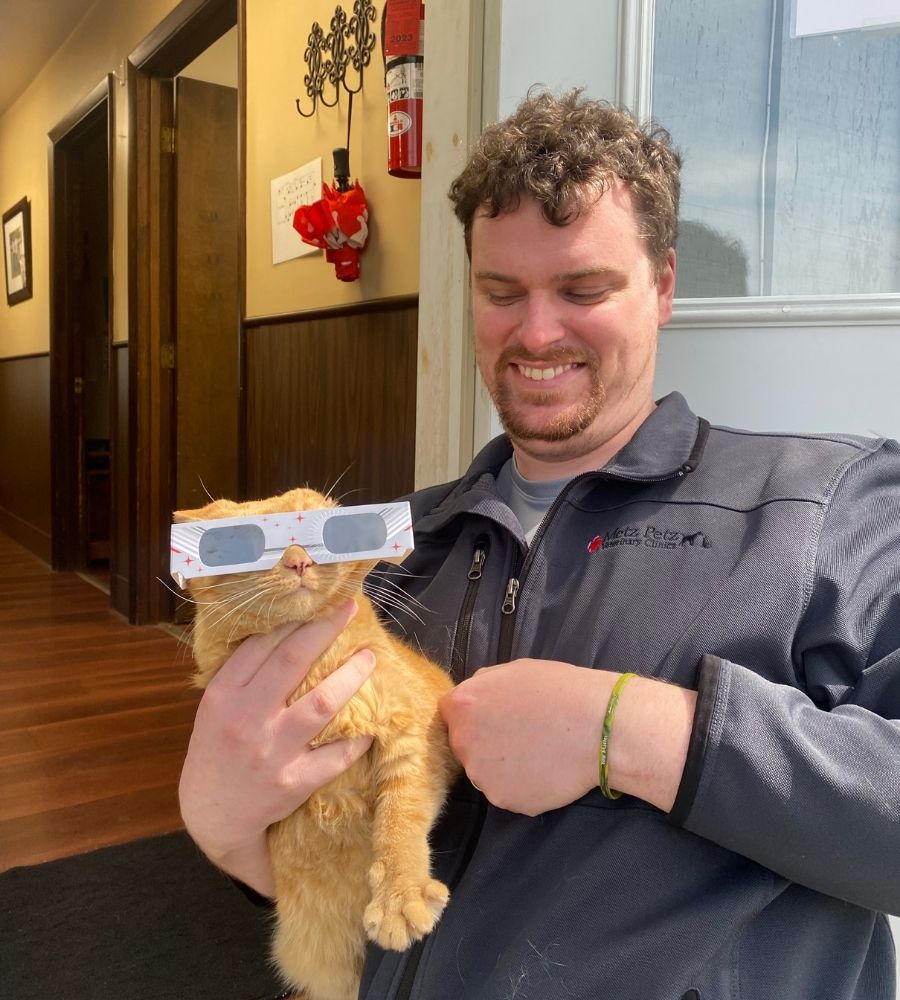 Cat wearing eclipse glasses